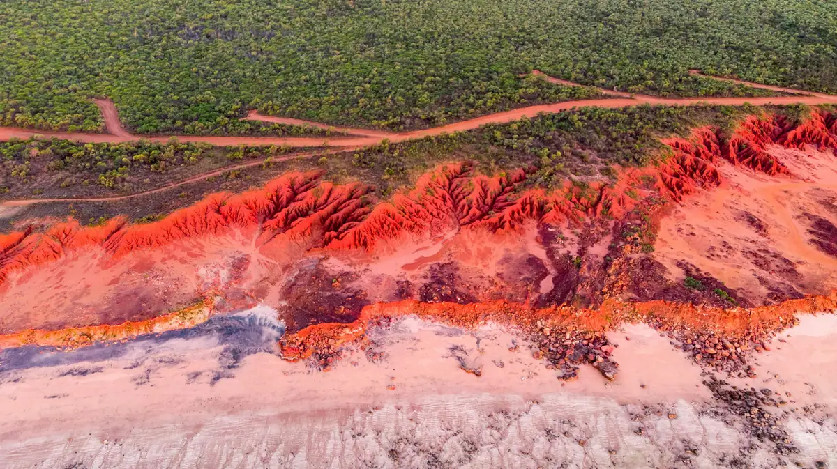 Aerial view of eroded red and white pindan cliffs meeting pale sand, with green scrub and red dirt tracks above, at James Price Point