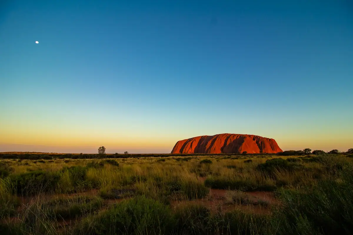 Uluru glows red on the horizon at dusk beyond green spinifex and desert scrub, under a deep blue sky with the moon