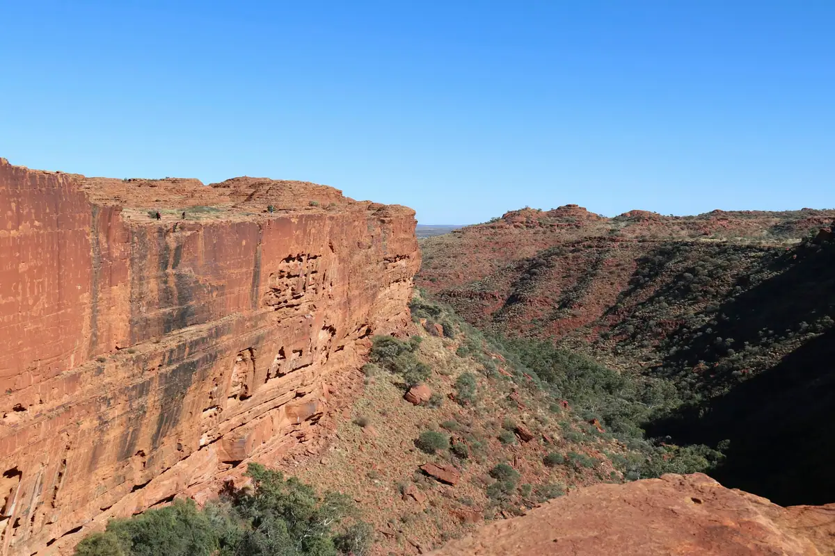 Sheer red sandstone walls of Kings Canyon drop into a tree-filled gorge under a clear blue sky