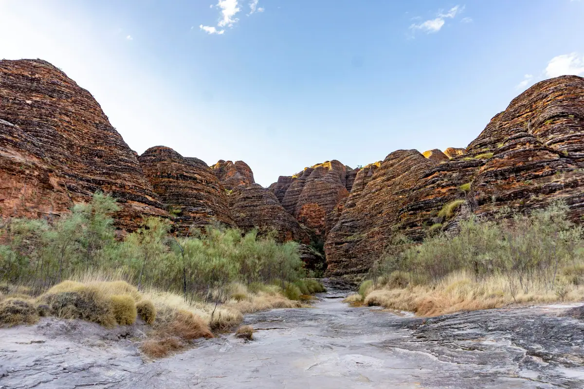 Orange and black banded beehive domes of the Bungle Bungle Range line a dry creek bed with spinifex in Purnululu