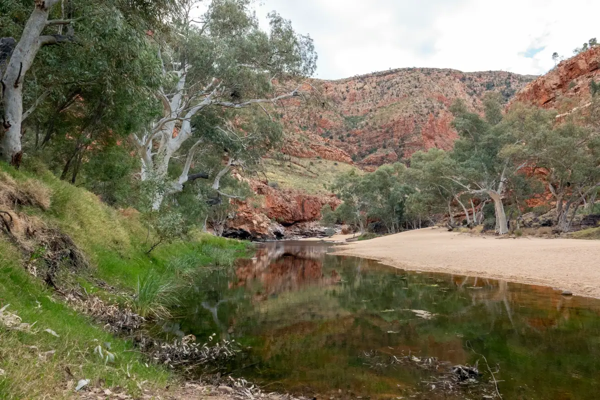 A still green waterhole and white sandy bank lined with white-trunked gums lead into the red walls of Ormiston Gorge